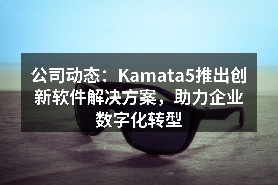 Kamata5团队的研发会议