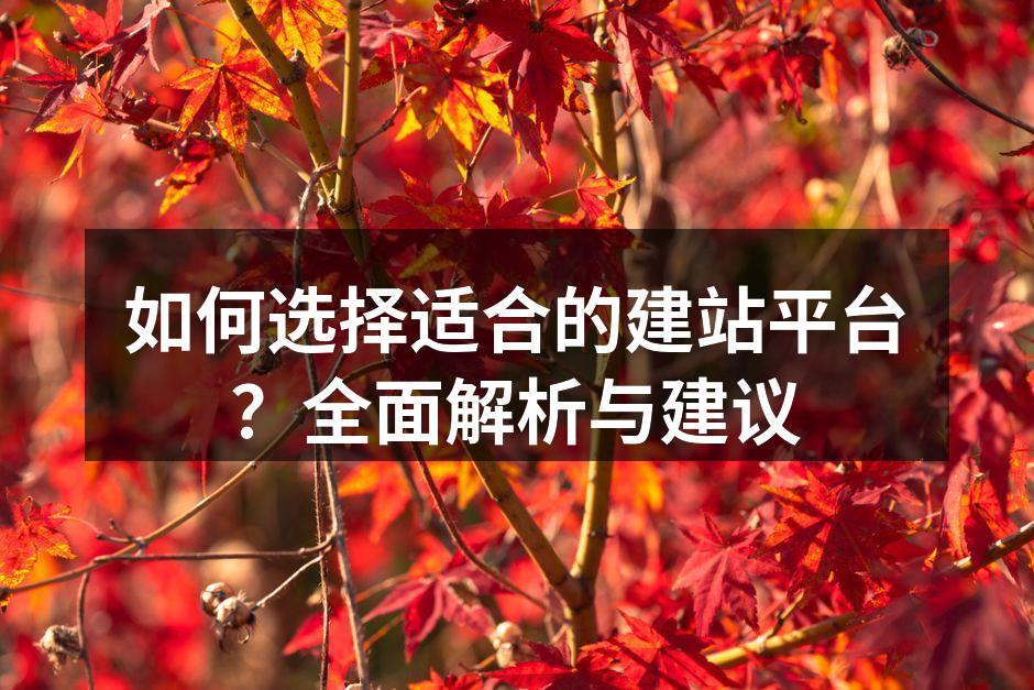 自助建站平台示例