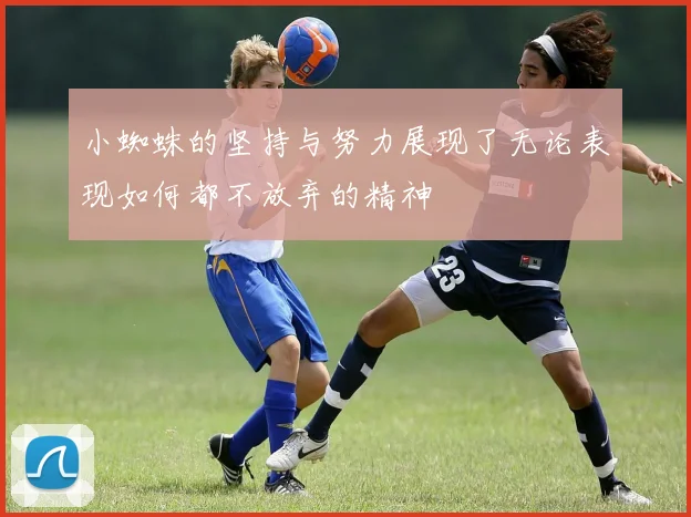 小蜘蛛的坚持与努力展现了无论表现如何都不放弃的精神